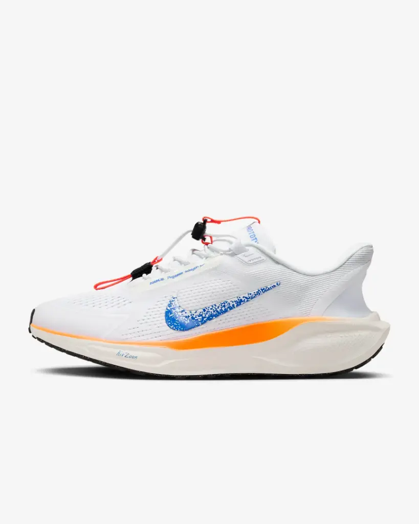 Giày Nike Pegasus EasyOn Blueprint - HM0374-900 Multi-Colour (Men's Shoes)