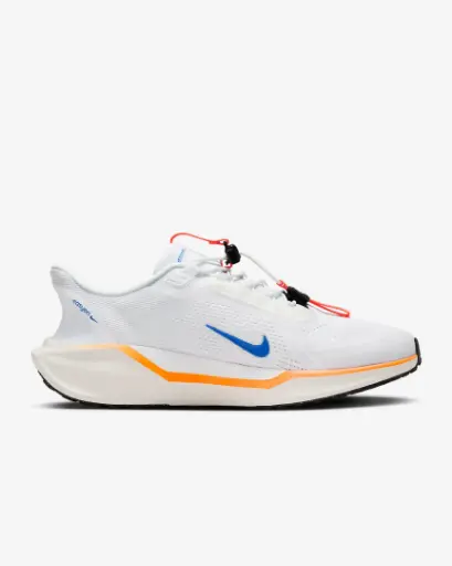 Giày Nike Pegasus EasyOn Blueprint - HM0374-900 Multi-Colour (Men's Shoes)